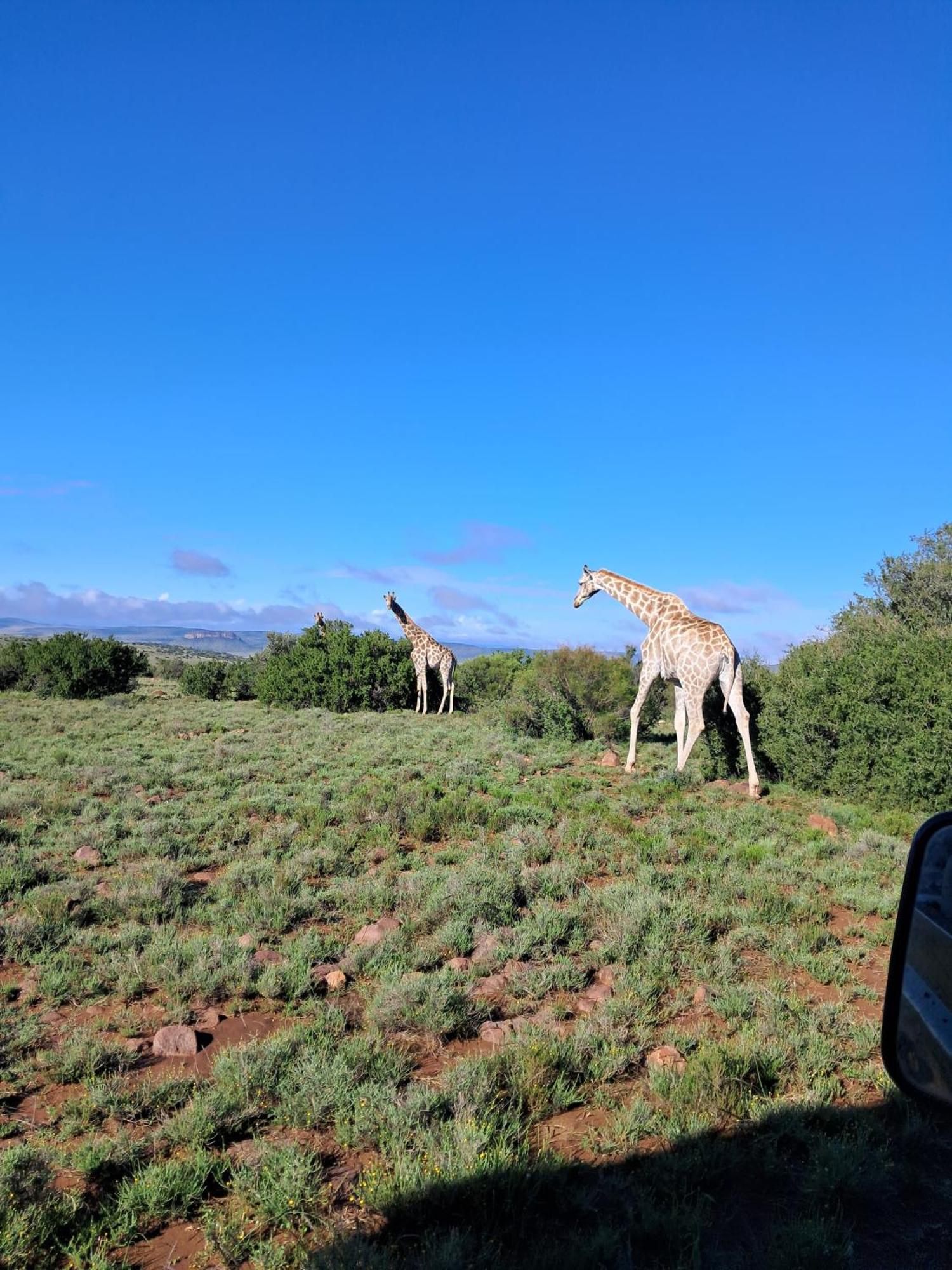 Letsatsi Game Lodge Smithfield Exterior foto