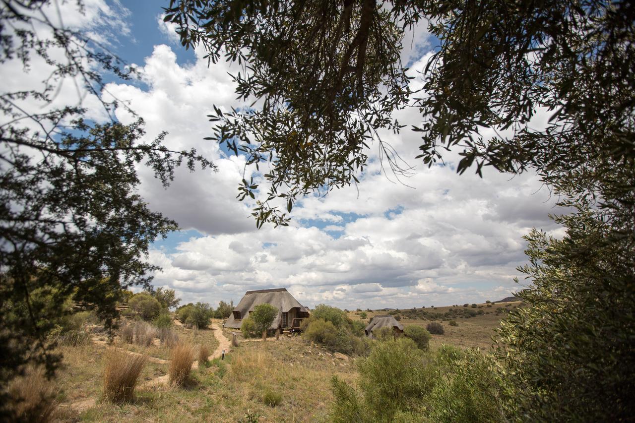 Letsatsi Game Lodge Smithfield Exterior foto